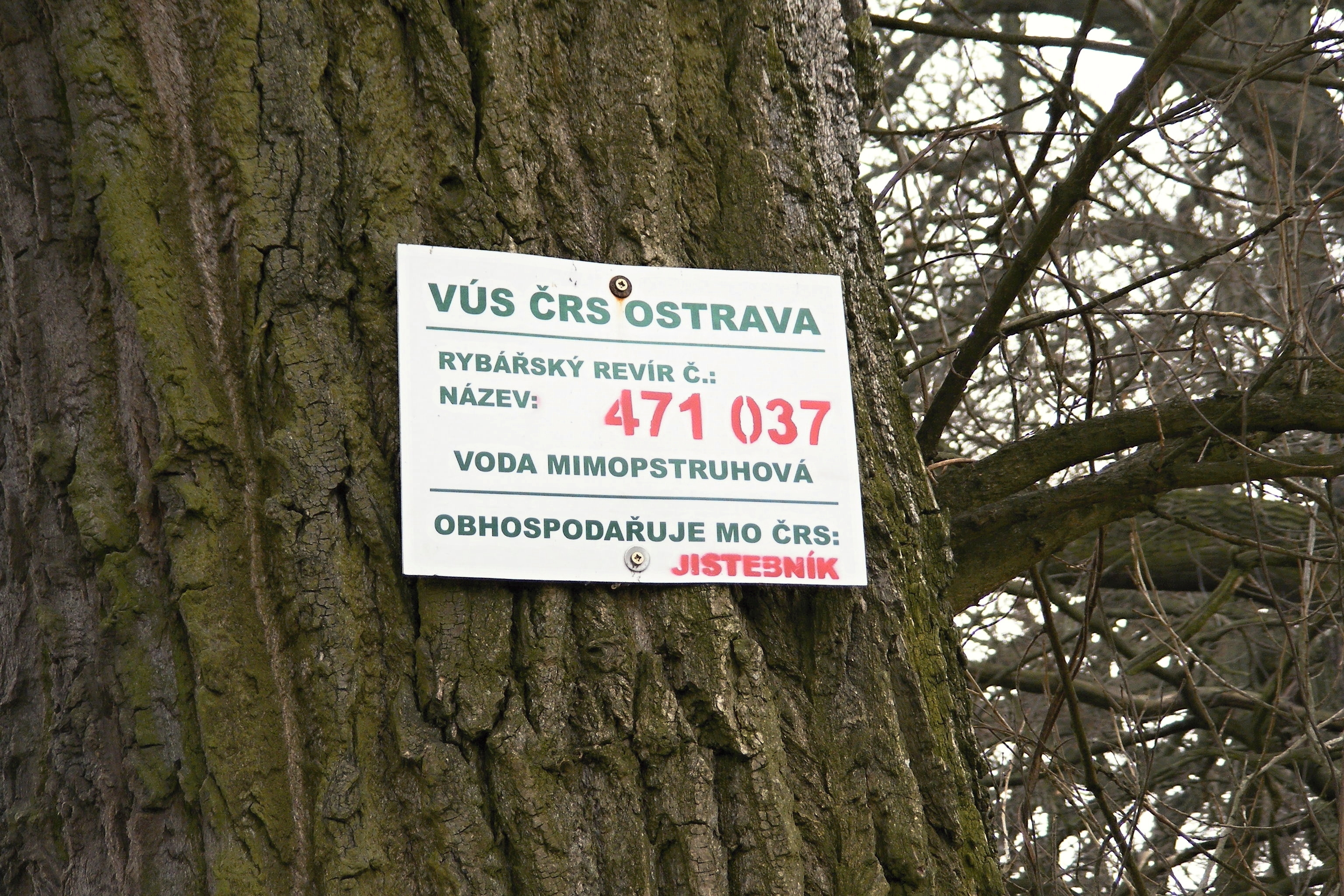 DSCF1707