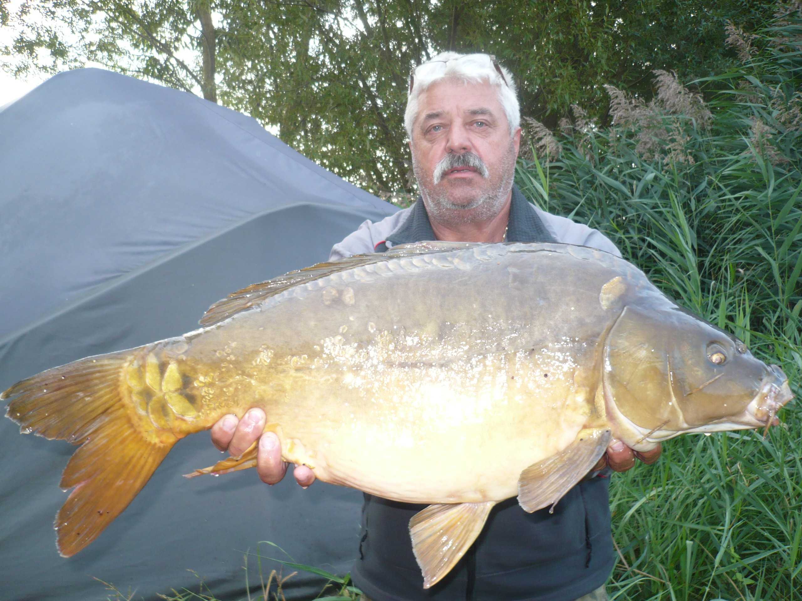 Honza a jeho ryby. 231